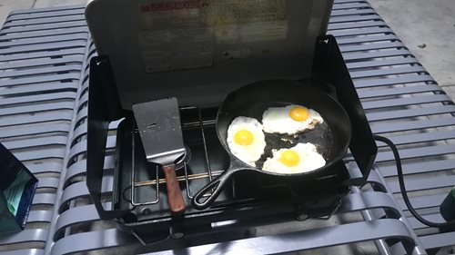 eggs.jpg