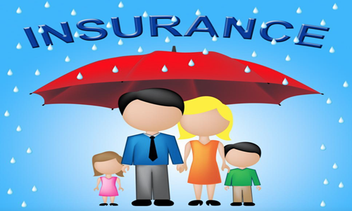Family-Insurance-Shows-Household-Policy-And-Cover-from-Freerange.png