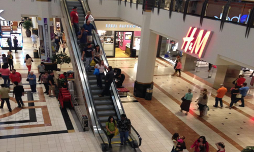 Mall-Scene-from-Freerange.png
