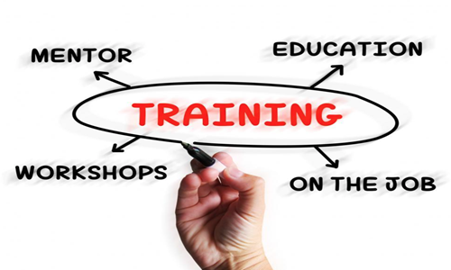 Training-Diagram-Displaying-Mentorship-Education-And-Job-Preparation-from-Freerange.png